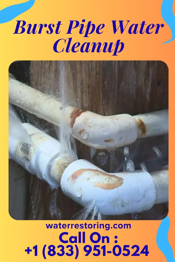 Burst Pipe Water Cleanup in Livermore, IA