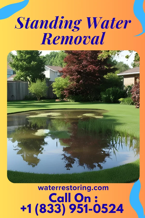 Standing Water Removal in Livermore, IA
